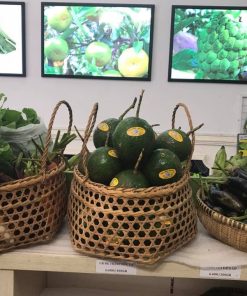 BƠ ORGANIC