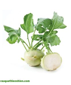 Lá và củ su hào