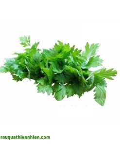 Rau ngải cứu hữu cơ